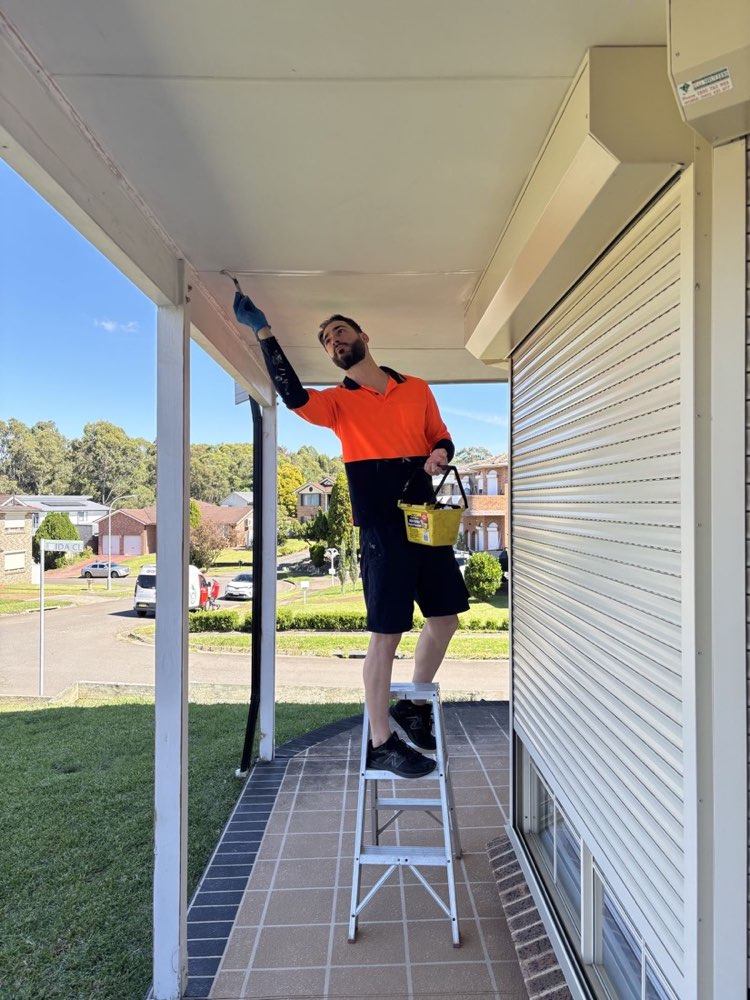 MARS Australia painting an exterior ceiling